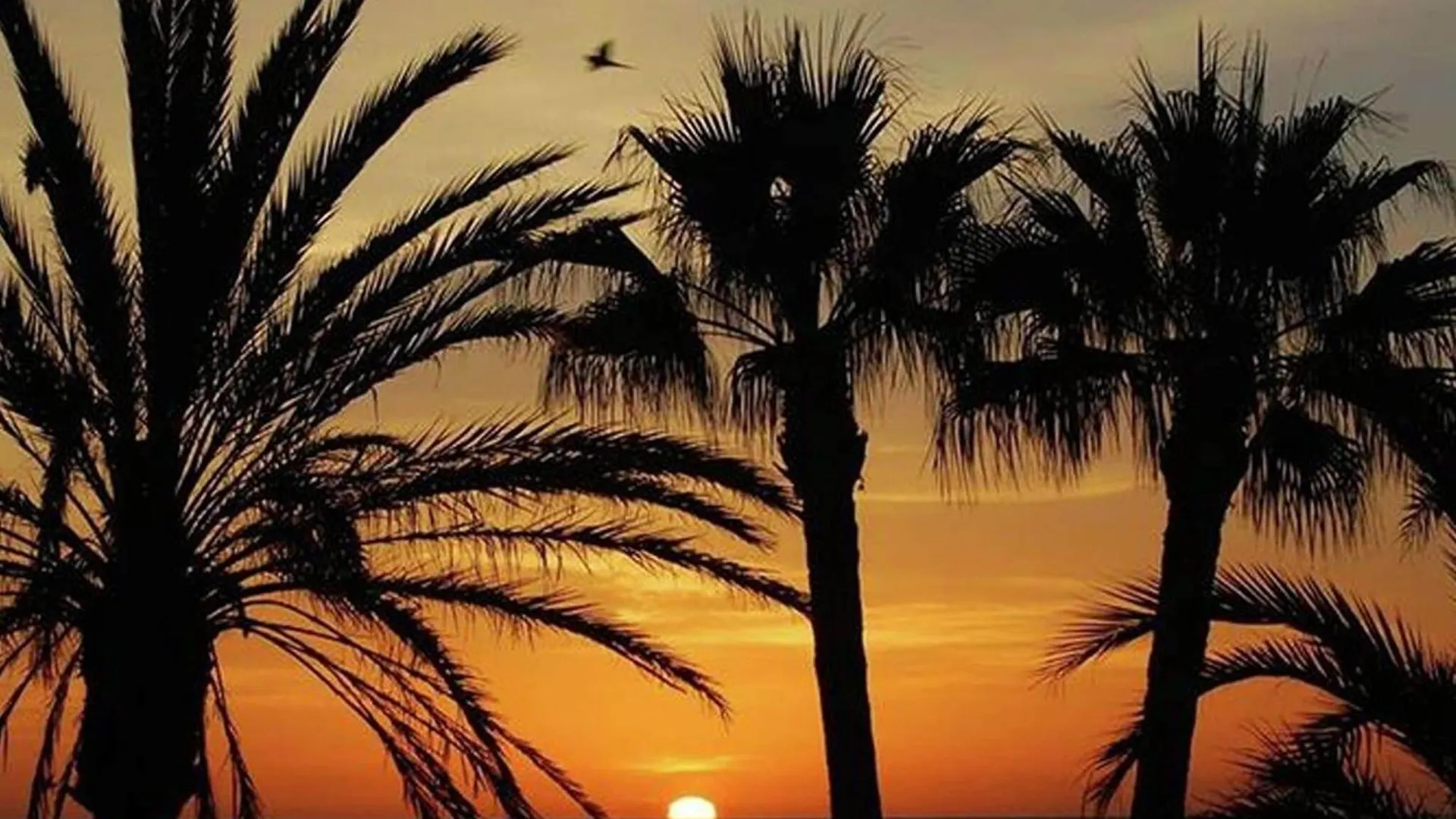 Holiday Home In Torremolinos Near Seabeach Malaga 0*,